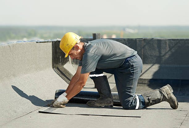 Best Commercial Insulation in Edgewater, FL
