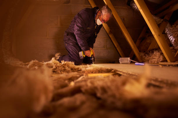 Best Residential Insulation in Edgewater, FL